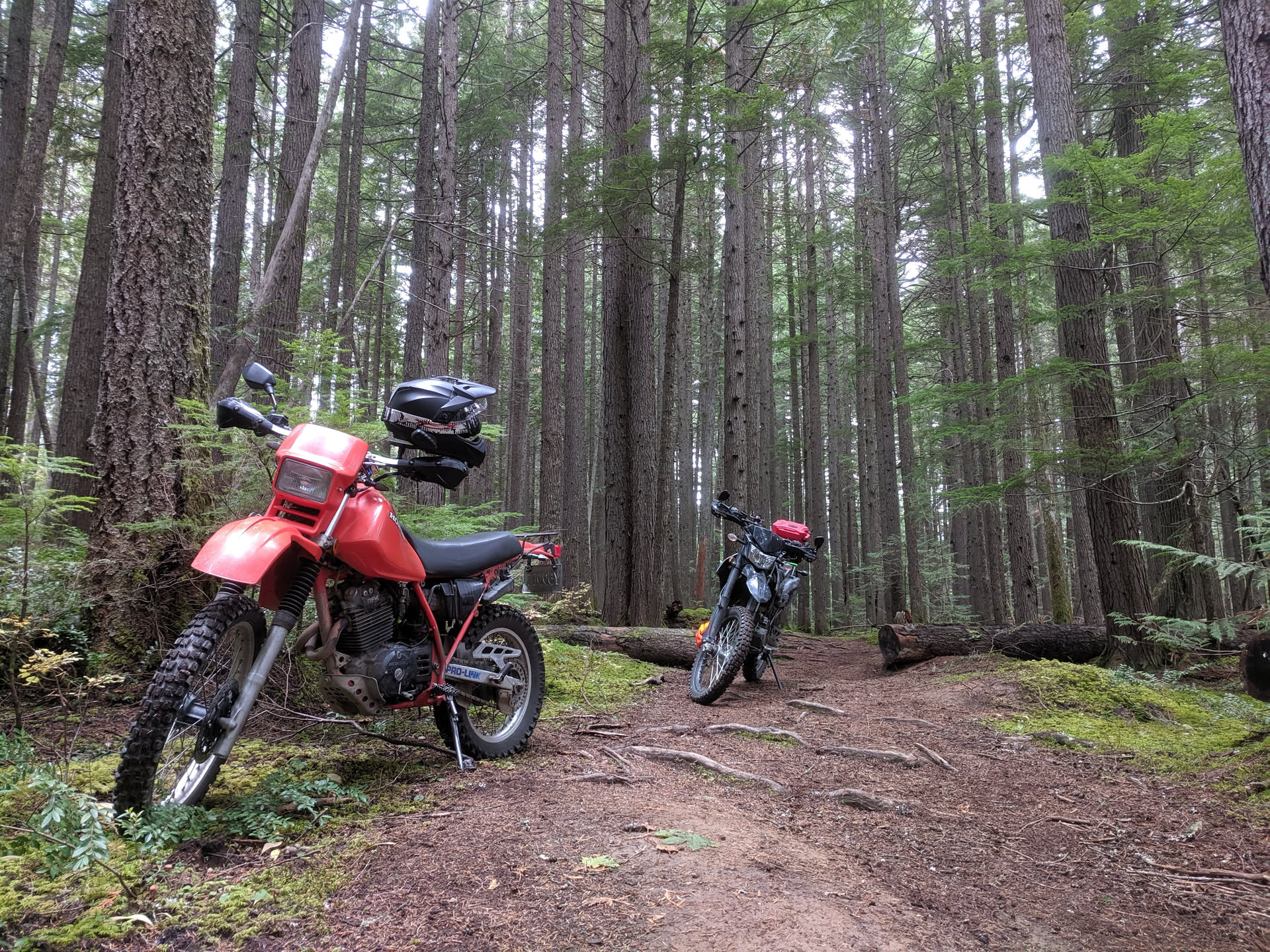 Adventure photo 2